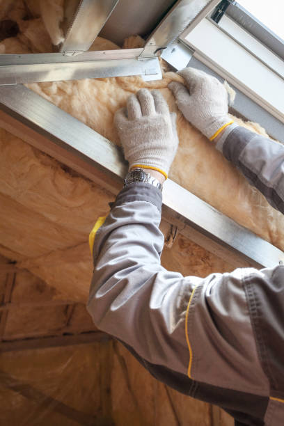 Best Insulation Maintenance and Repair in Harwood Heights, IL